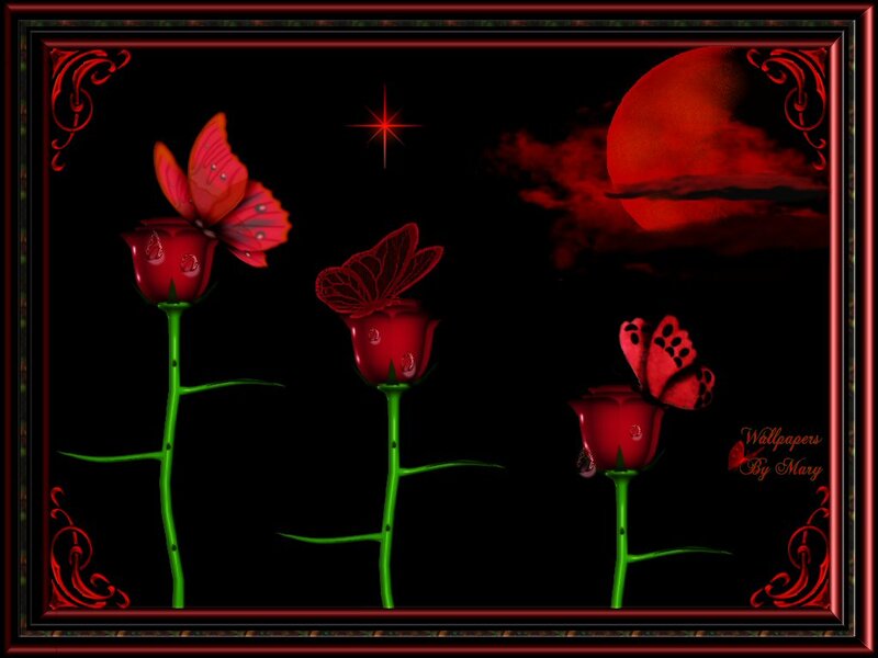 Red Roses with Butterflies — Black