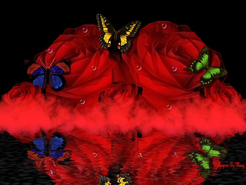 Red Roses with Butterflies — Dramatic