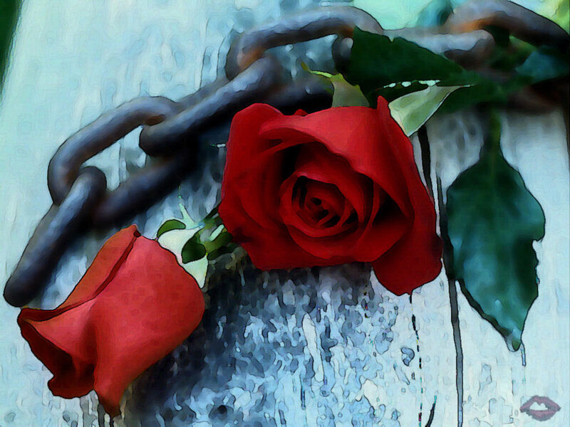 Red roses with chain
