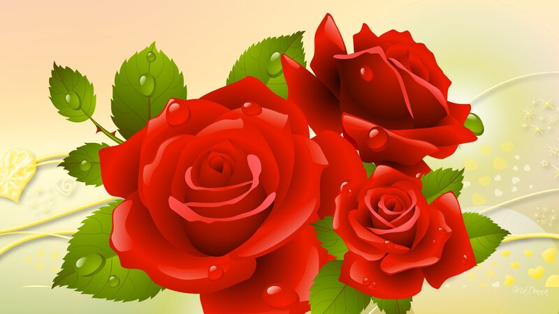 Red Roses with Dew Drops — Romantic
