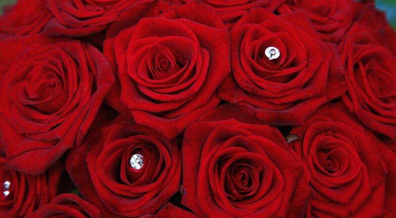 Red Roses with Diamonds