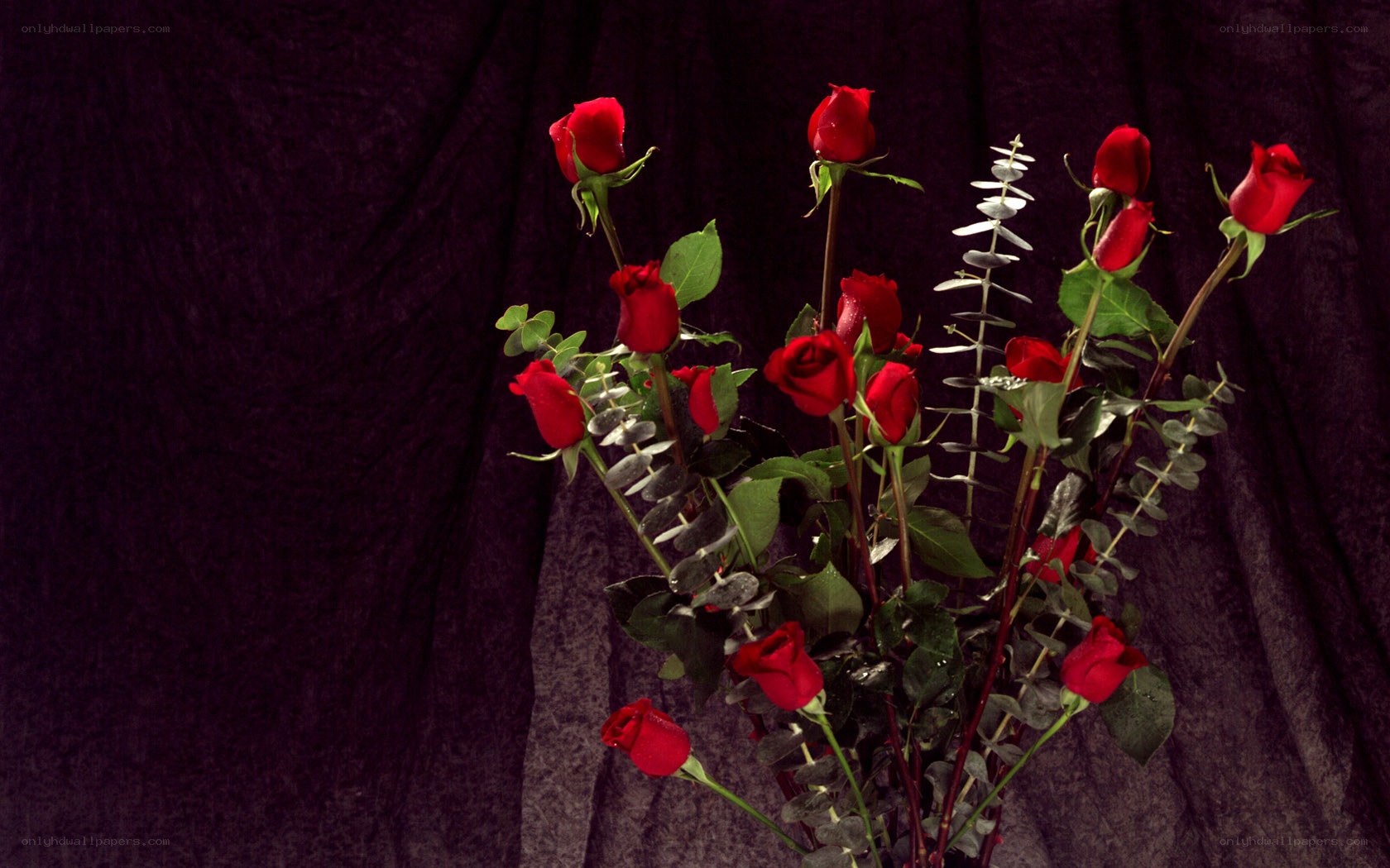 Red roses with eucalyptus