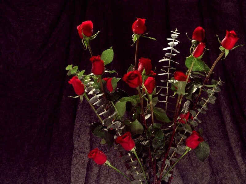 Red roses with eucalyptus
