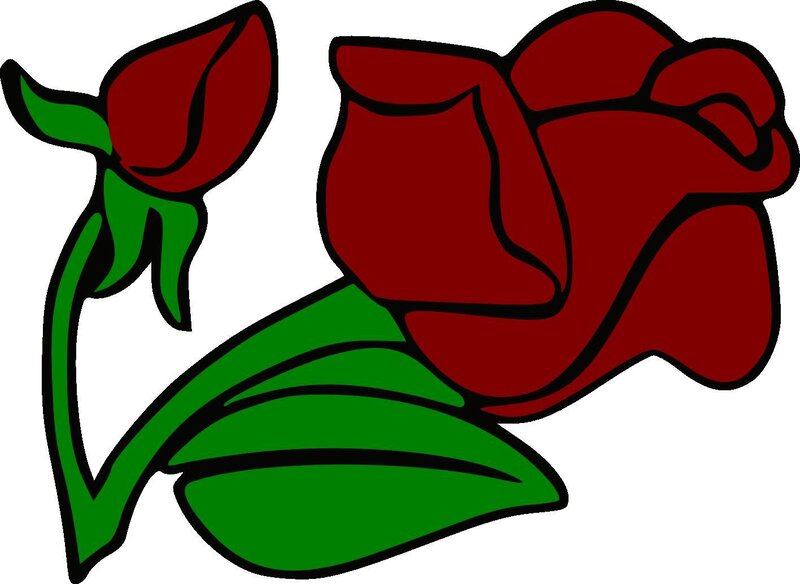 red roses with green leaves