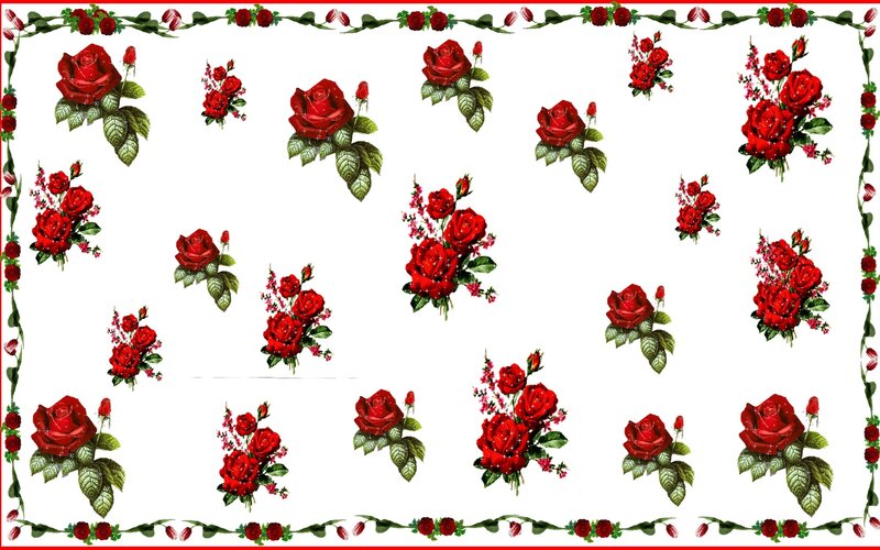 Red Roses with Green Leaves — Decorative