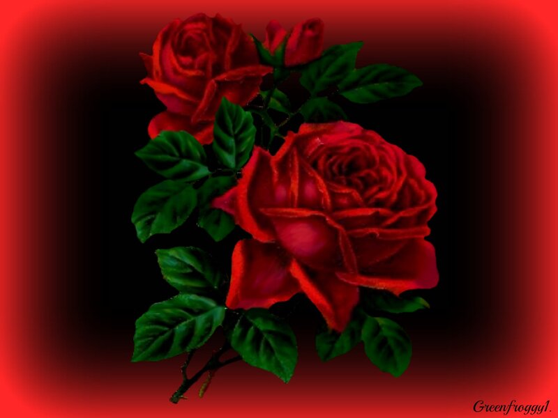 Red Roses with Green Leaves — Dramatic, Digital Art, Bloom