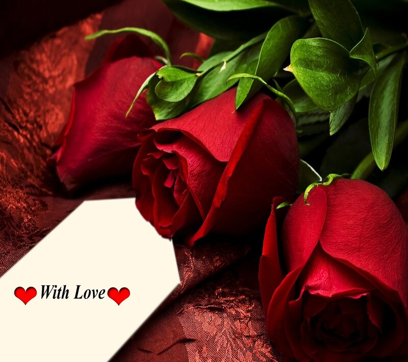 Red Roses with Green Leaves — Romantic, Photograph