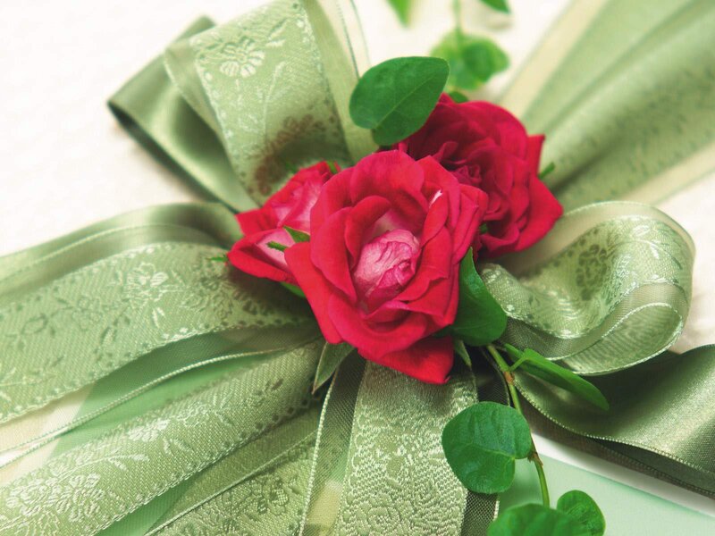 Red Roses with Green Ribbon — Calm
