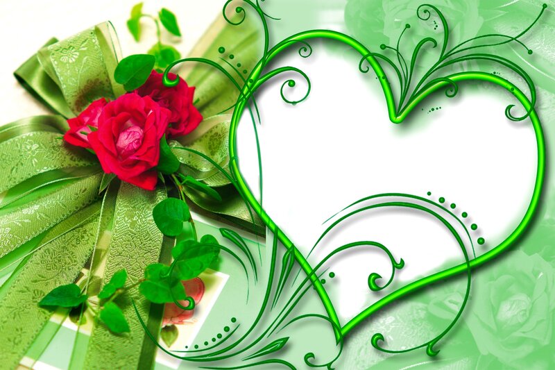 Red Roses with Green Ribbon — Romantic
