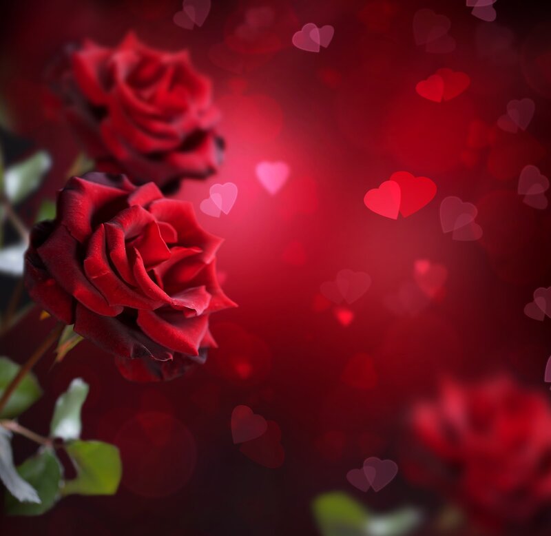 Red Roses with Heart Bokeh — Romantic