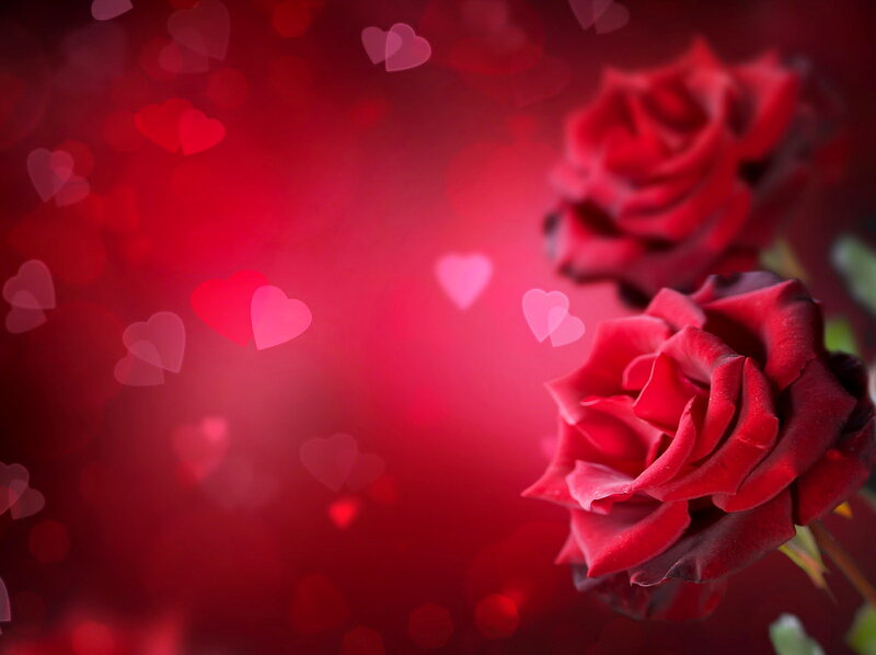 Red Roses with Heart Bokeh
