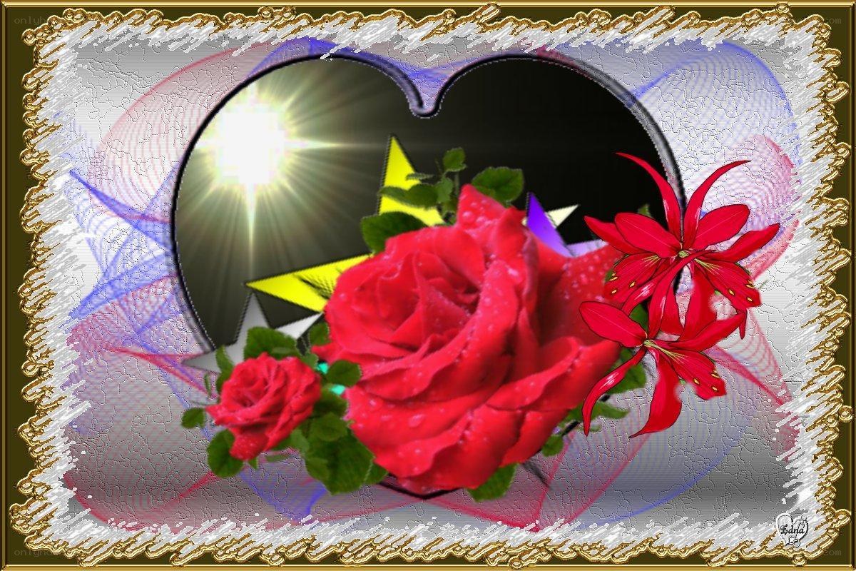 Red roses with heart frame