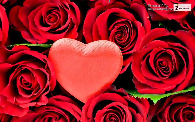 Red Roses with Heart — Romantic, Photograph, Green Leaves