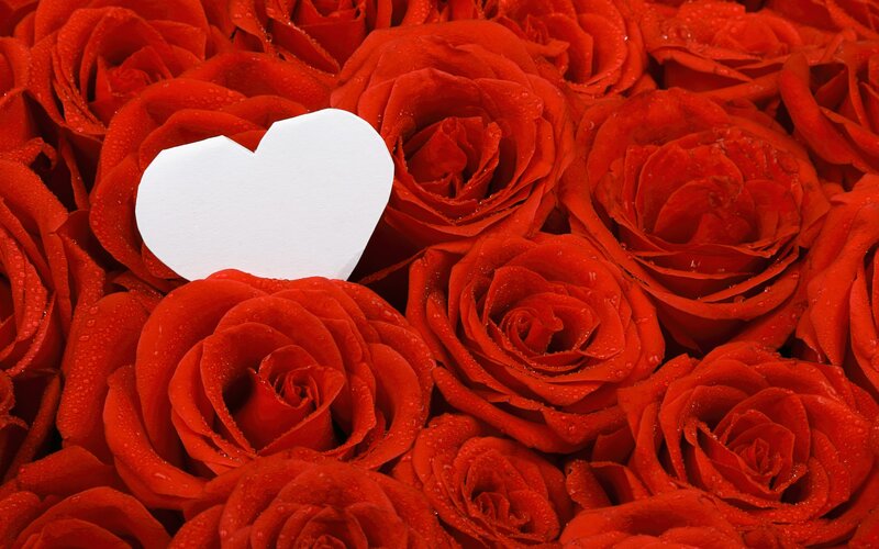 Red Roses with Heart — Romantic, Photograph