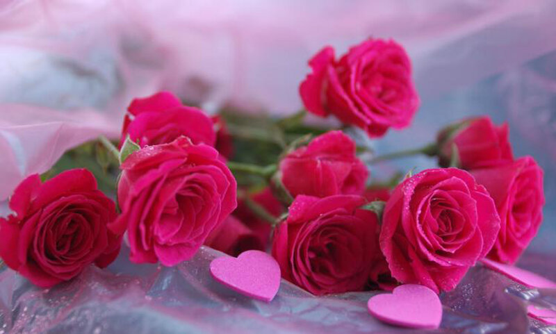 Red Roses with Heart Shapes