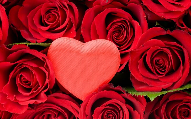 Red Roses with Heart