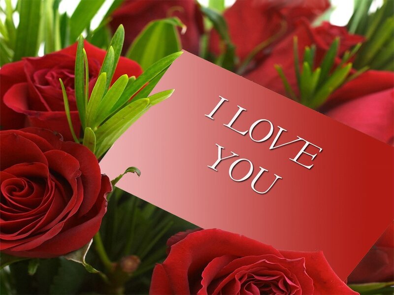 Red roses with I love you card