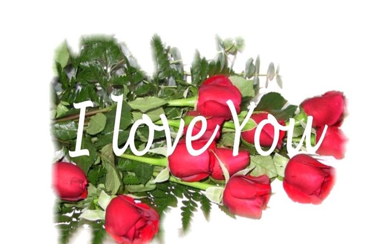 red roses with I love you text
