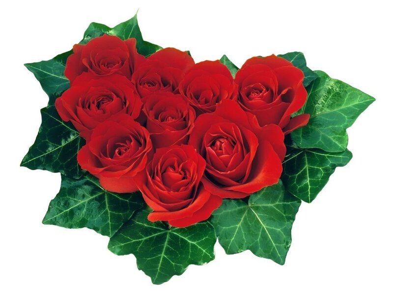 Red Roses with Ivy