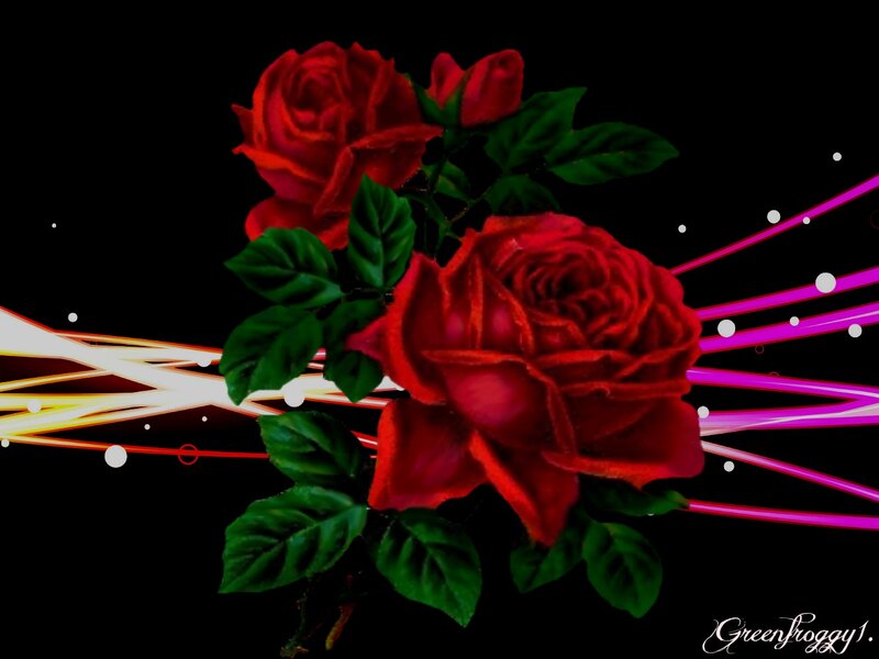 Red Roses with Leaves — Dramatic, Digital Art
