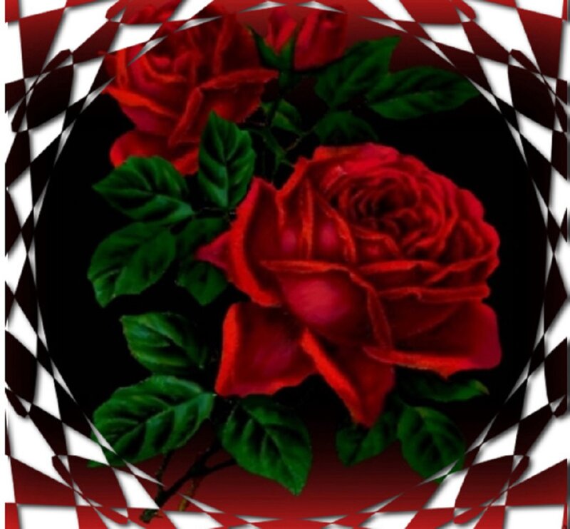 Red Roses with Leaves — Dramatic, Photograph