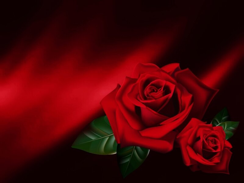 Red Roses with Leaves — Dramatic