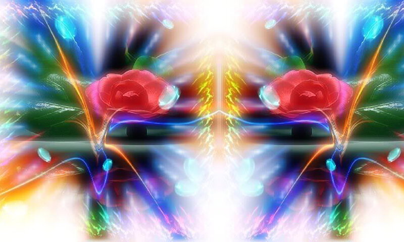 Red Roses with Light Effects