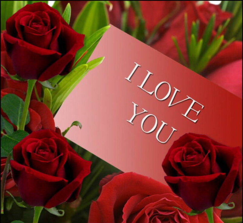 red roses with love card