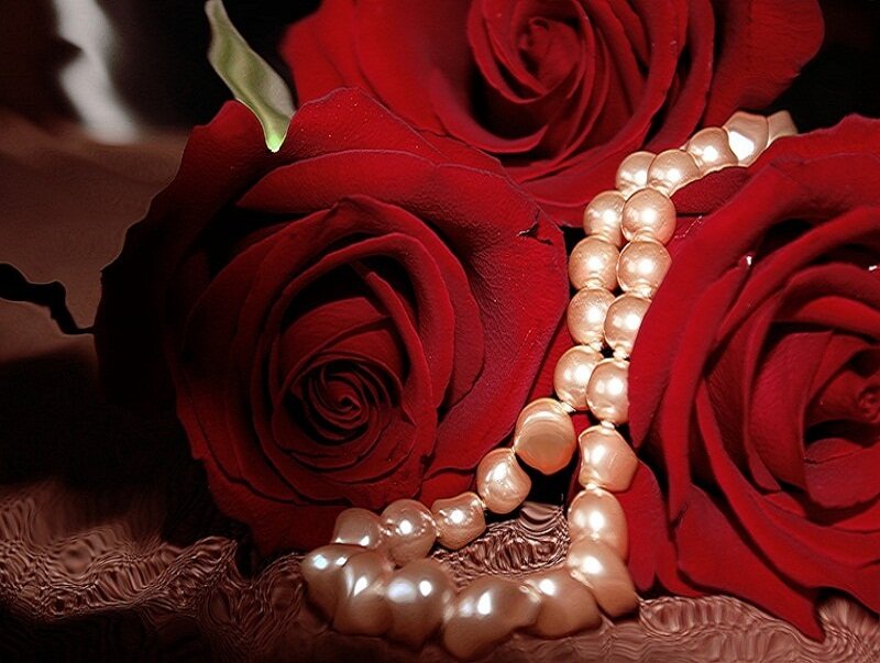 Red roses with pearl necklace