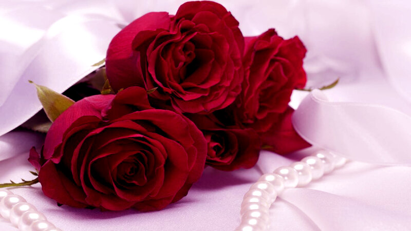 Red Roses with Pearls — Romantic