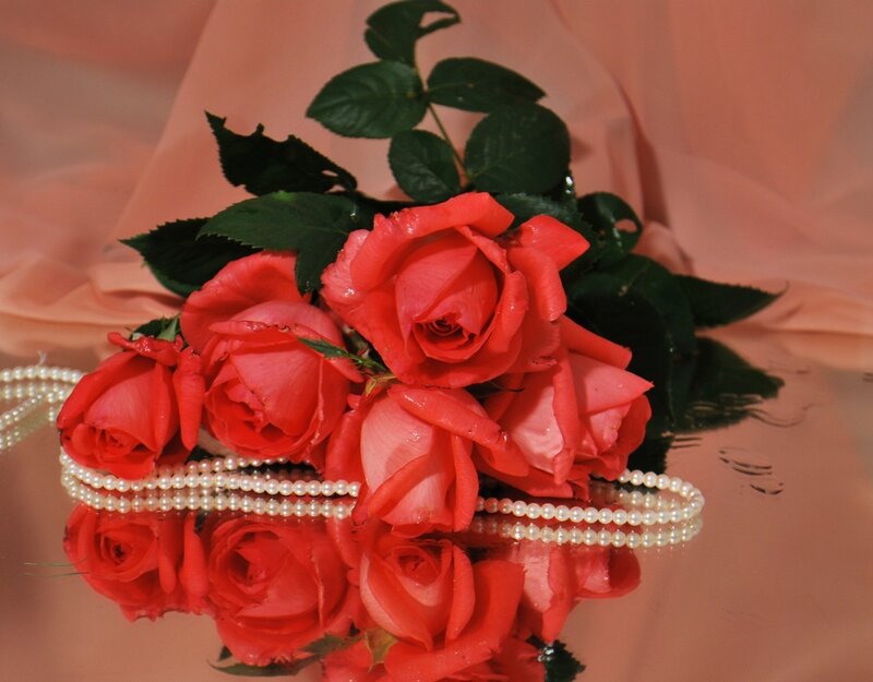 Red Roses with Pearls — Serene