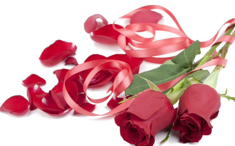 Red Roses with Petals — Romantic