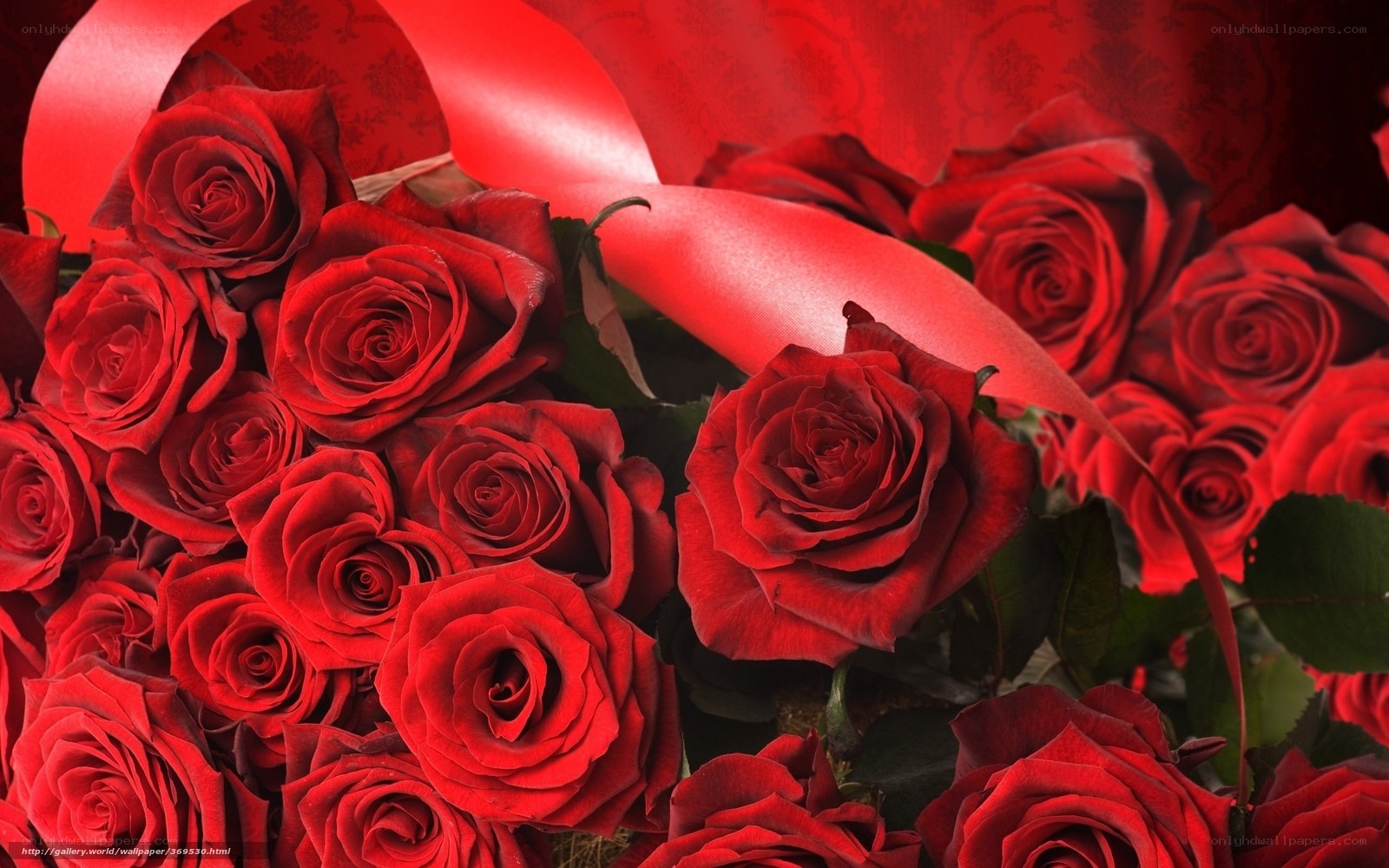 Red roses with ribbon