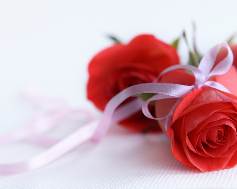 Red Roses with Ribbon — Calm, Photograph