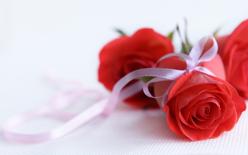 Red Roses with Ribbon — Calm, Photograph, White Surface