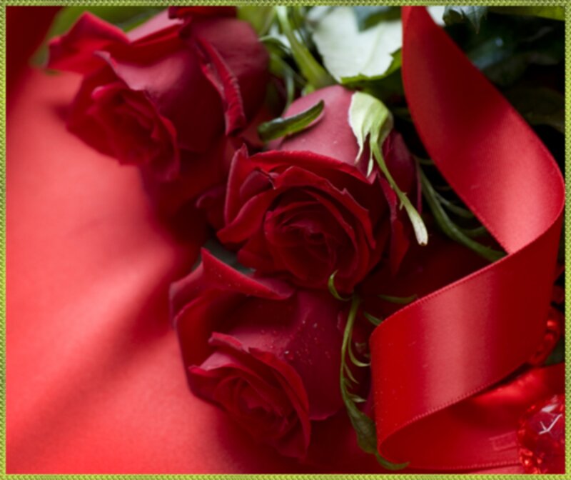 Red Roses with Ribbon — Romantic, Photograph, Green Leaves, Fabric