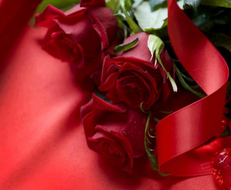 Red Roses with Ribbon — Romantic, Photograph, Green Leaves