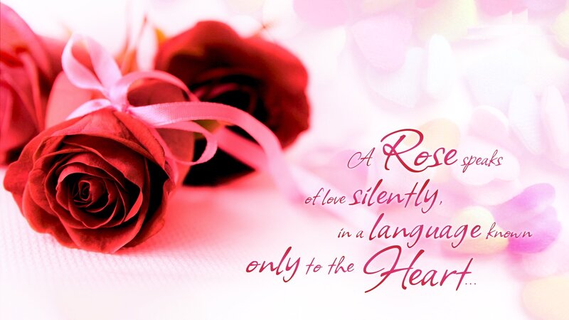 Red Roses with Ribbon — Romantic, Photograph, Text