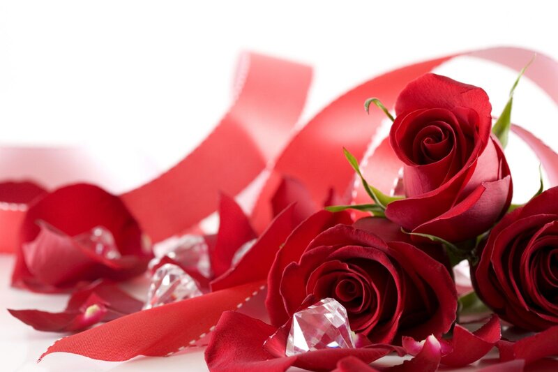 Red Roses with Ribbon — Romantic, Photograph