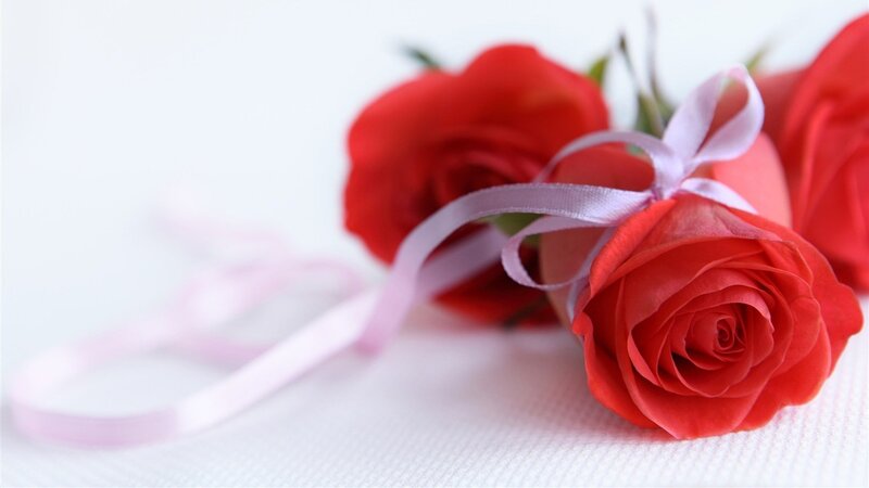 Red Roses with Ribbon — Romantic, Photograph, White Surface, Green Stem
