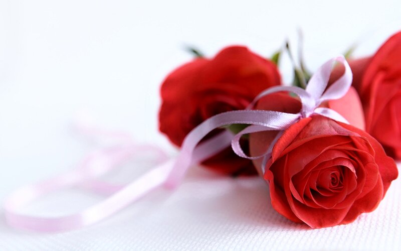 Red Roses with Ribbon — Romantic, Photograph, White Surface