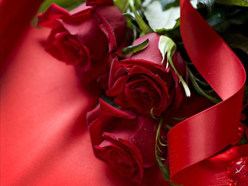 Red Roses with Ribbon — Romantic