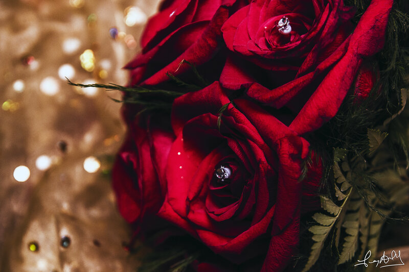 Red Roses with Rings