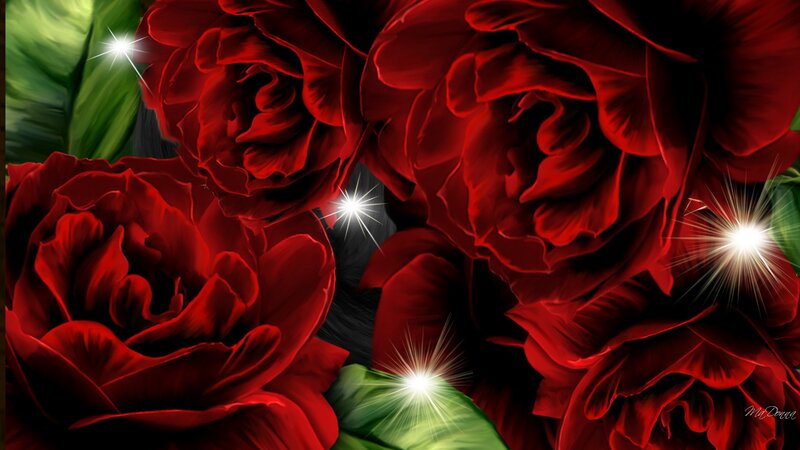 Red Roses with Sparkles — Dramatic