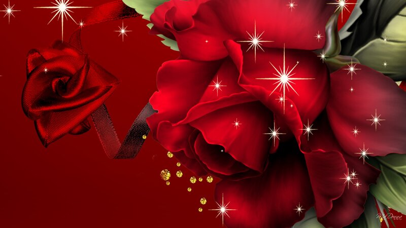 Red Roses with Sparkles — Festive