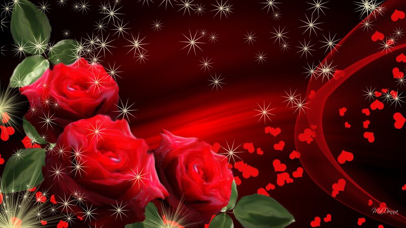 Red Roses with Sparkles