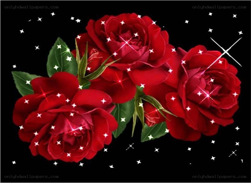 Red roses with stars