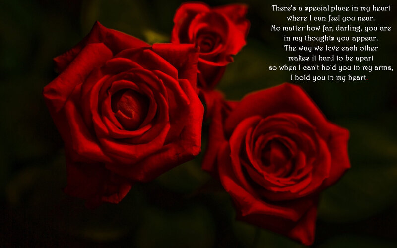 Red Roses with Text — Romantic