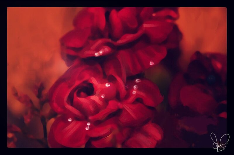 Red Roses with Water Droplets — Dramatic, Digital Art