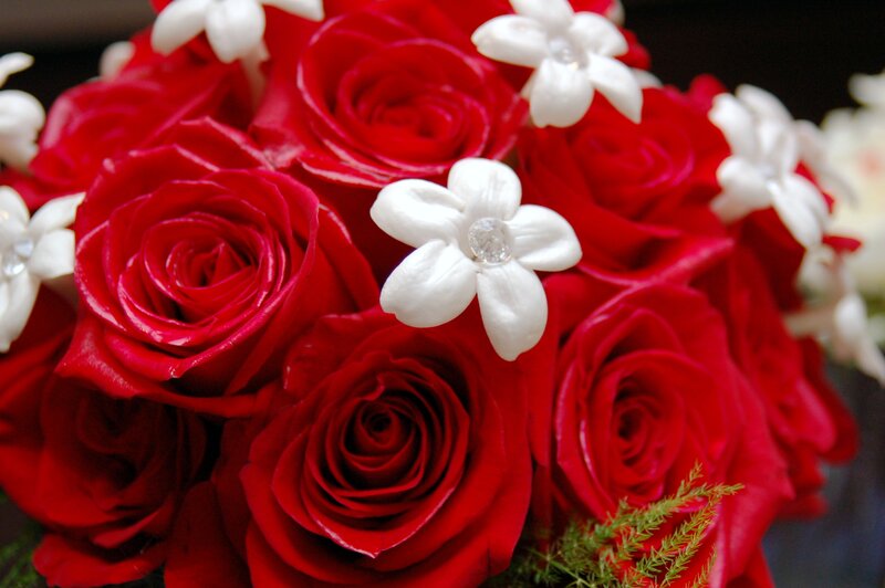 Red Roses with White Flowers — Romantic